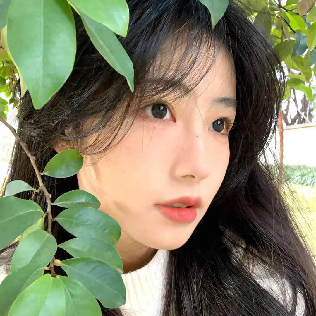 命运薄荷糖
