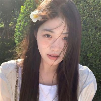 关于哈利的那些事