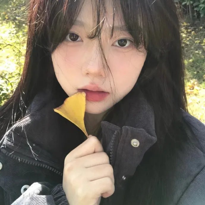 天堂岛疑云第十季